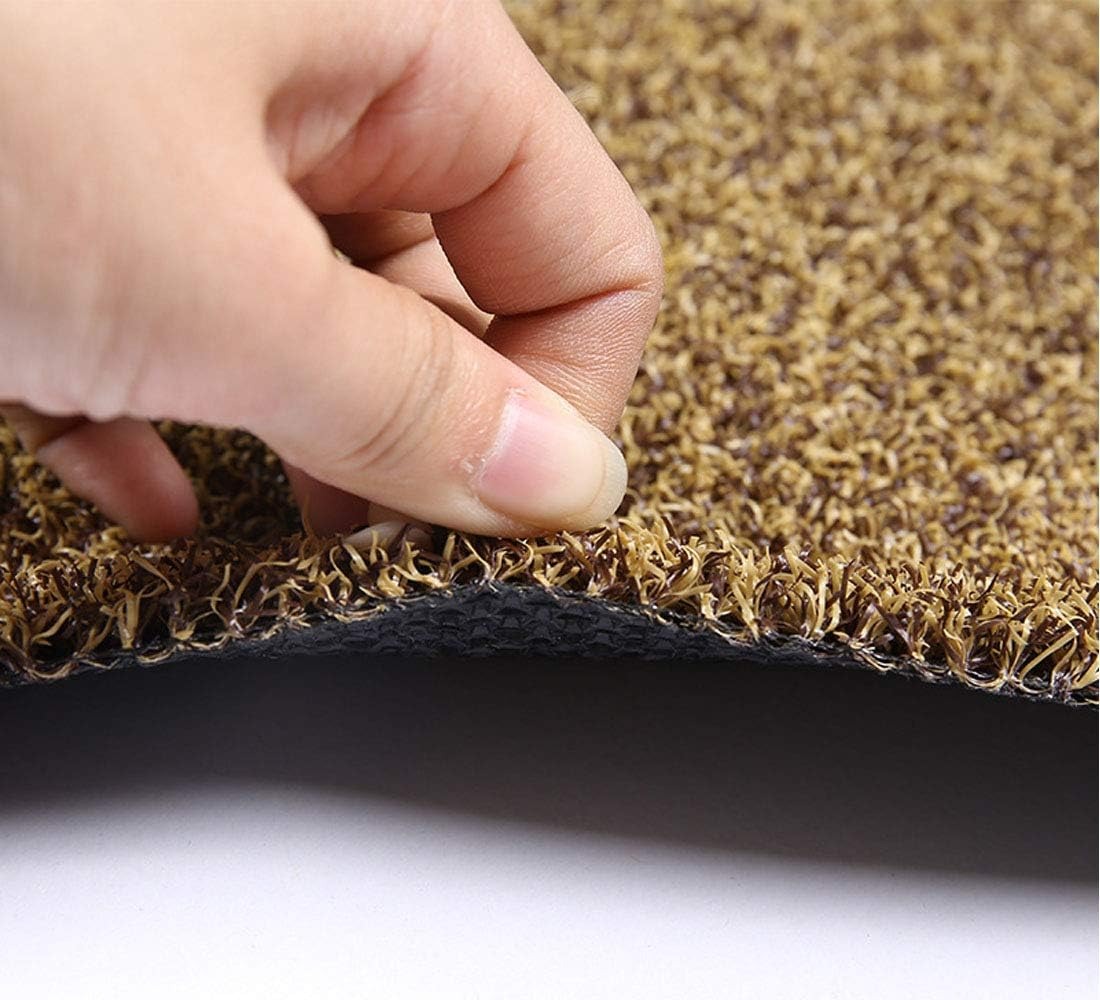 Paillasson - Tapis de Porte Antidérapant Lavable pour Intérieur et Extérieur