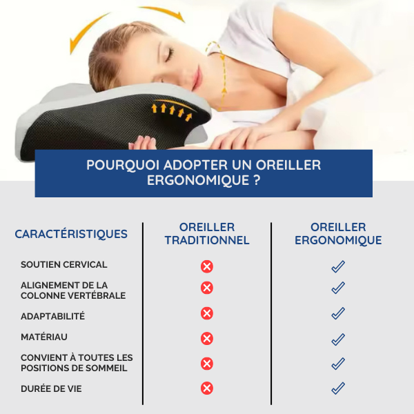 Oreiller Ergonomique à Mémoire de Forme | Maintien & Orthopédique
