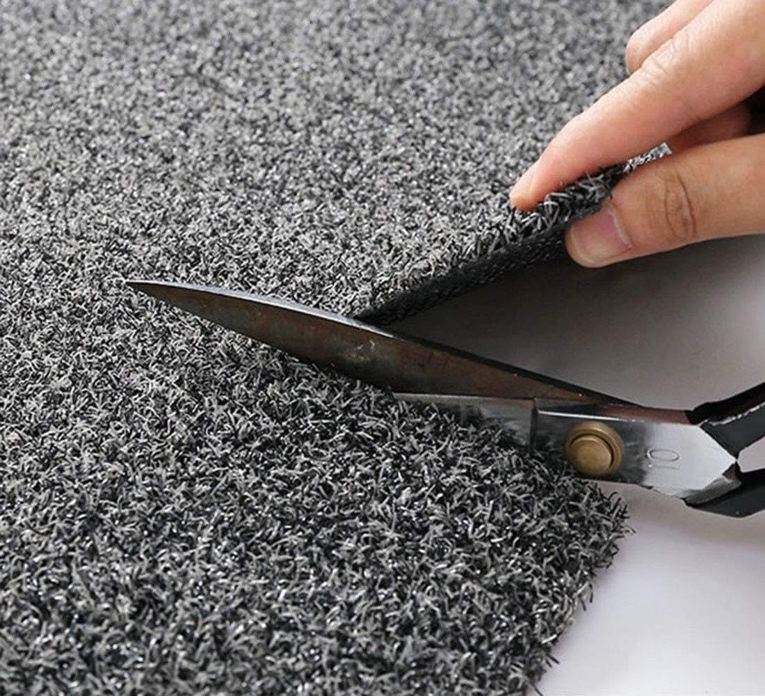 Paillasson - Tapis de Porte Antidérapant Lavable pour Intérieur et Extérieur