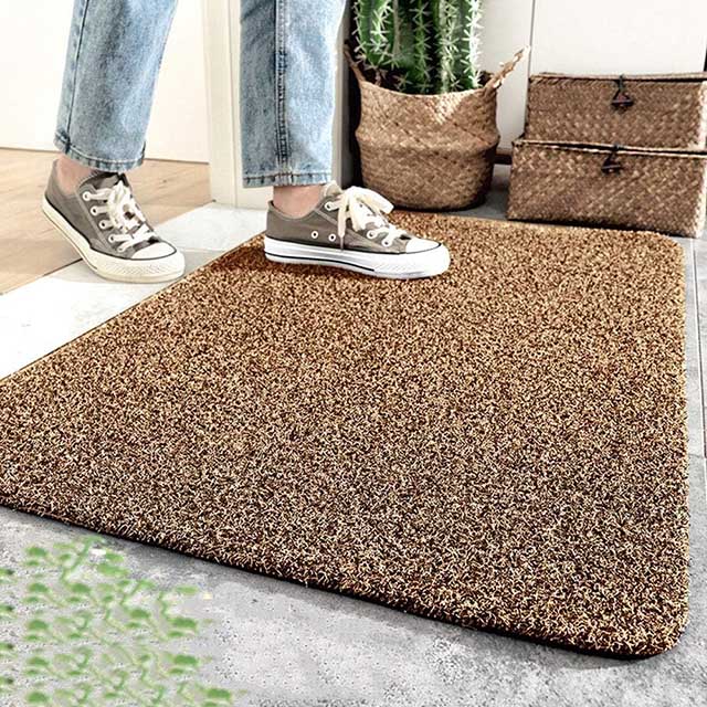 Paillasson - Tapis de Porte Antidérapant Lavable pour Intérieur et Extérieur