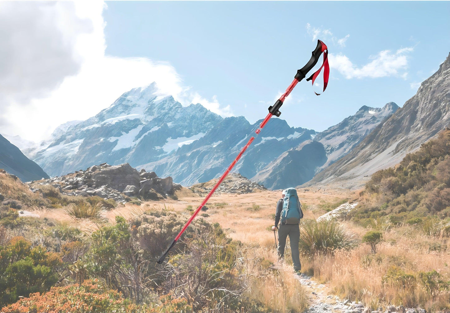 Bâtons de marche Ultralégers Montagne | Randonnée