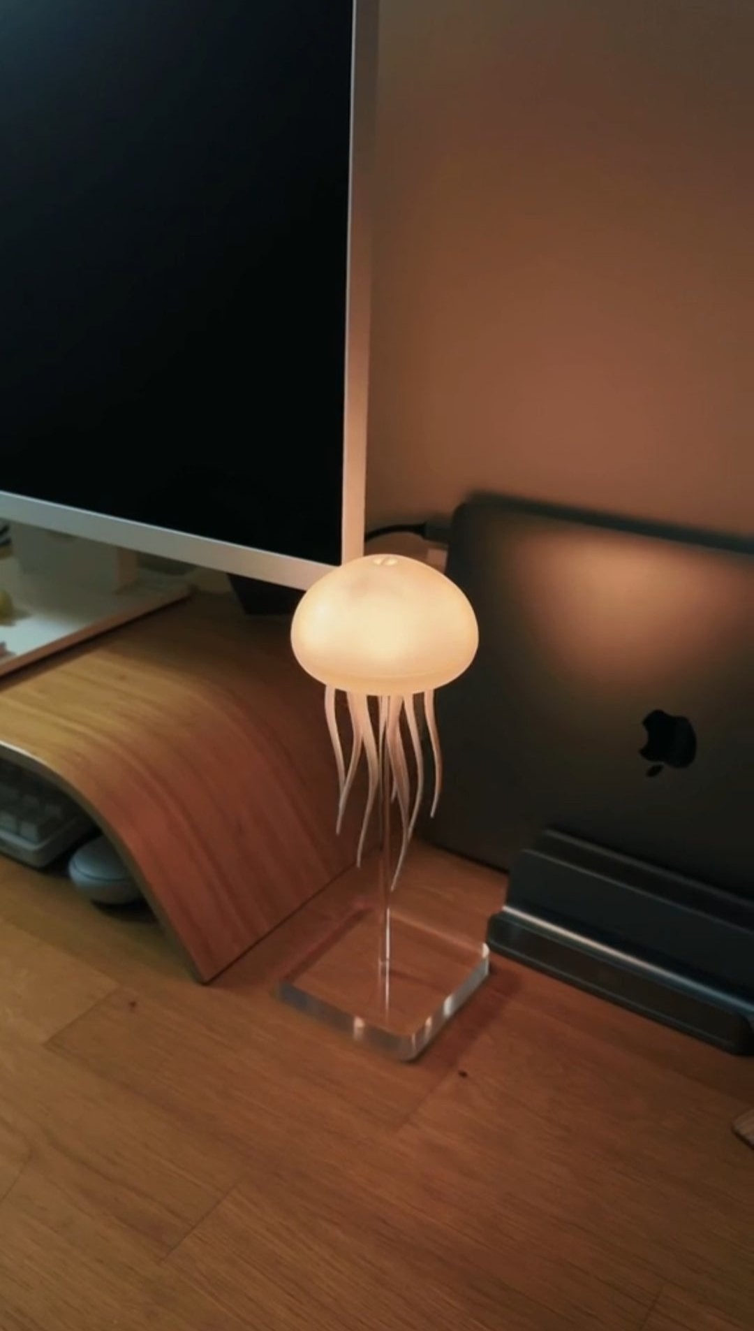 Lampe Méduse Dansante | Suspension Décorative Électrique LED