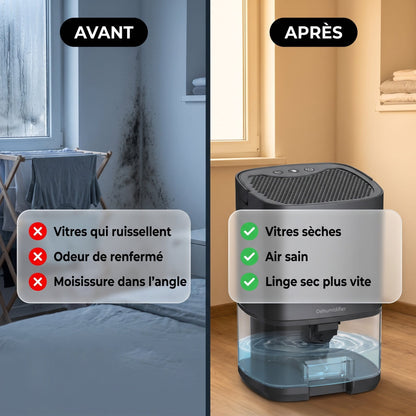Déshumidificateur d'Air 2 en 1 Silencieux