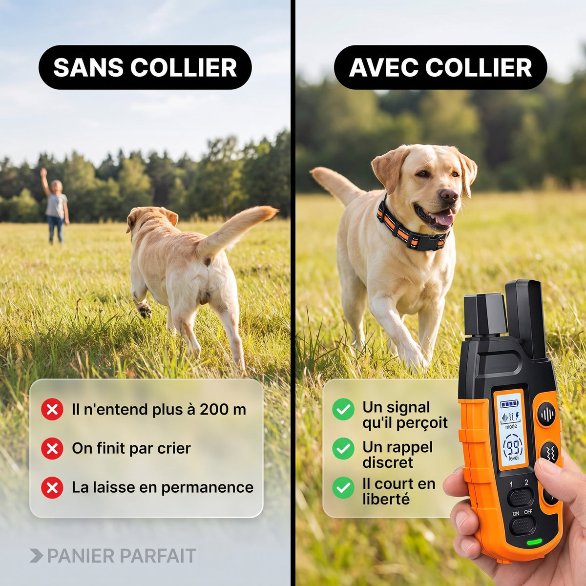 Collier de Dressage pour Chiens Premium 1000m - Étanche et Rechargeable