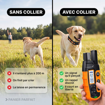 Collier de Dressage pour Chiens Premium 1000m - Étanche et Rechargeable