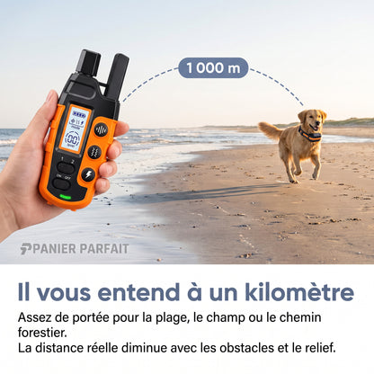 Collier de Dressage pour Chiens Premium 1000m - Étanche et Rechargeable