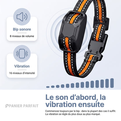 Collier de Dressage pour Chiens Premium 1000m - Étanche et Rechargeable