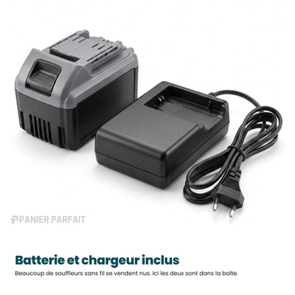 Souffleur-Aspirateur Électrique Pro Sans Fil 2 en 1 (+ Batterie Offerte)