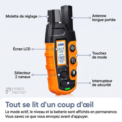 Collier de Dressage pour Chiens Premium 1000m - Étanche et Rechargeable