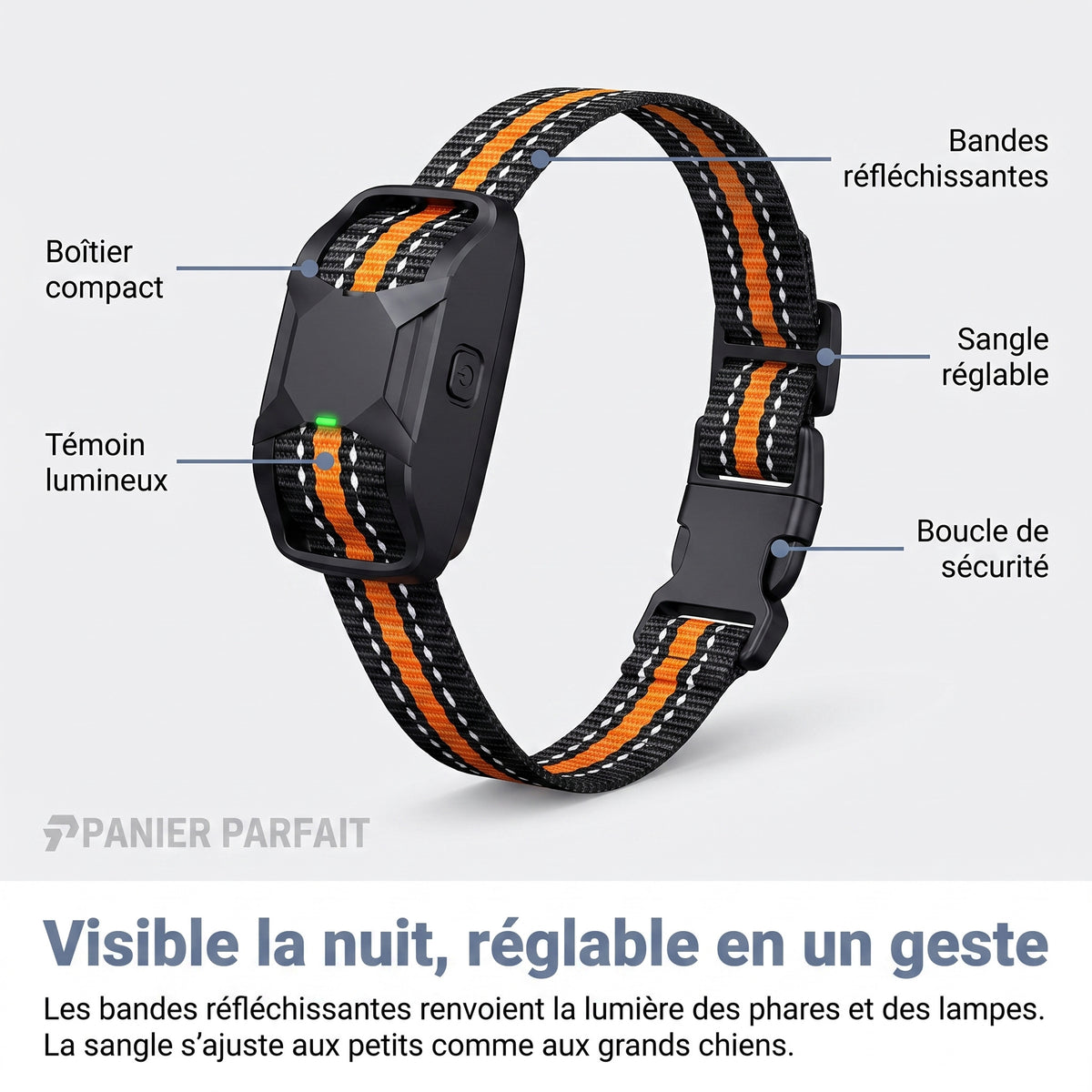 Collier de Dressage pour Chiens Premium 1000m - Étanche et Rechargeable
