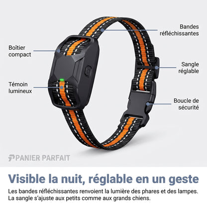 Collier de Dressage pour Chiens Premium 1000m - Étanche et Rechargeable