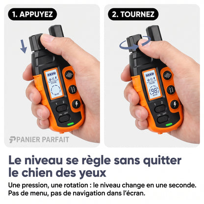 Collier de Dressage pour Chiens Premium 1000m - Étanche et Rechargeable