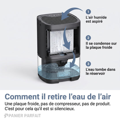 Déshumidificateur d'Air 2 en 1 Silencieux