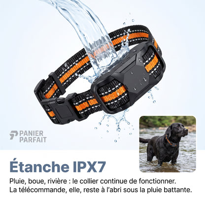 Collier de Dressage pour Chiens Premium 1000m - Étanche et Rechargeable