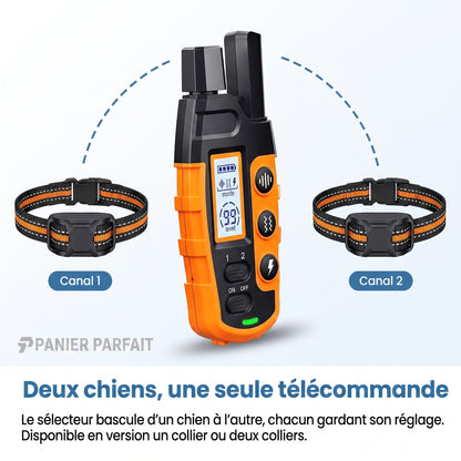 Collier de Dressage pour Chiens Premium 1000m - Étanche et Rechargeable