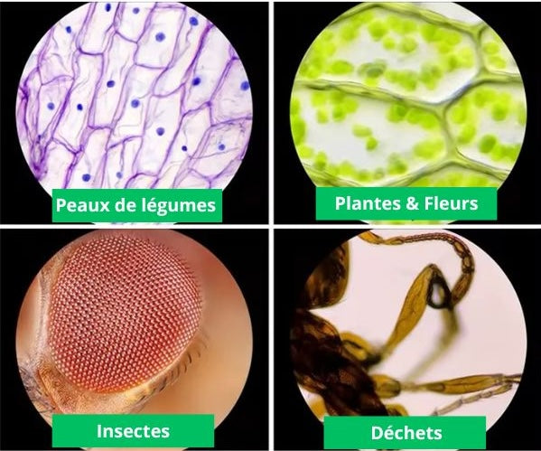 MicroKid™ - Microscope de Poche Puissant