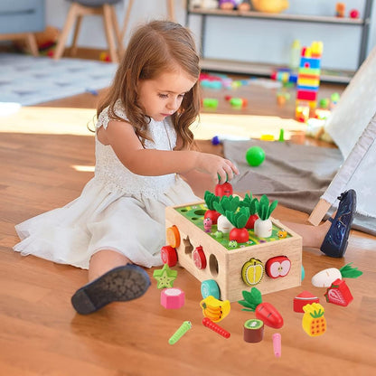 Jouets Montessori en Bois pour Tout-Petits | Jouets Éducatifs de Tri de Formes pour Enfants de 1 à 3 Ans