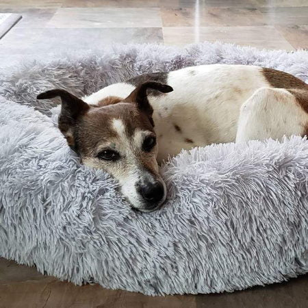 Coussin Apaisant pour Chien - Panier Lit Déhoussable