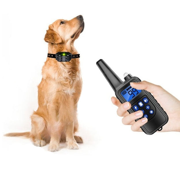 Collier de Dressage Anti-aboiement Etanche Rechargeable pour Chien