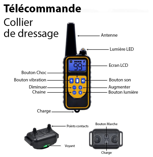 Collier de Dressage Anti-aboiement Etanche Rechargeable pour Chien