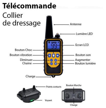 Collier de Dressage Anti-aboiement Etanche Rechargeable pour Chien