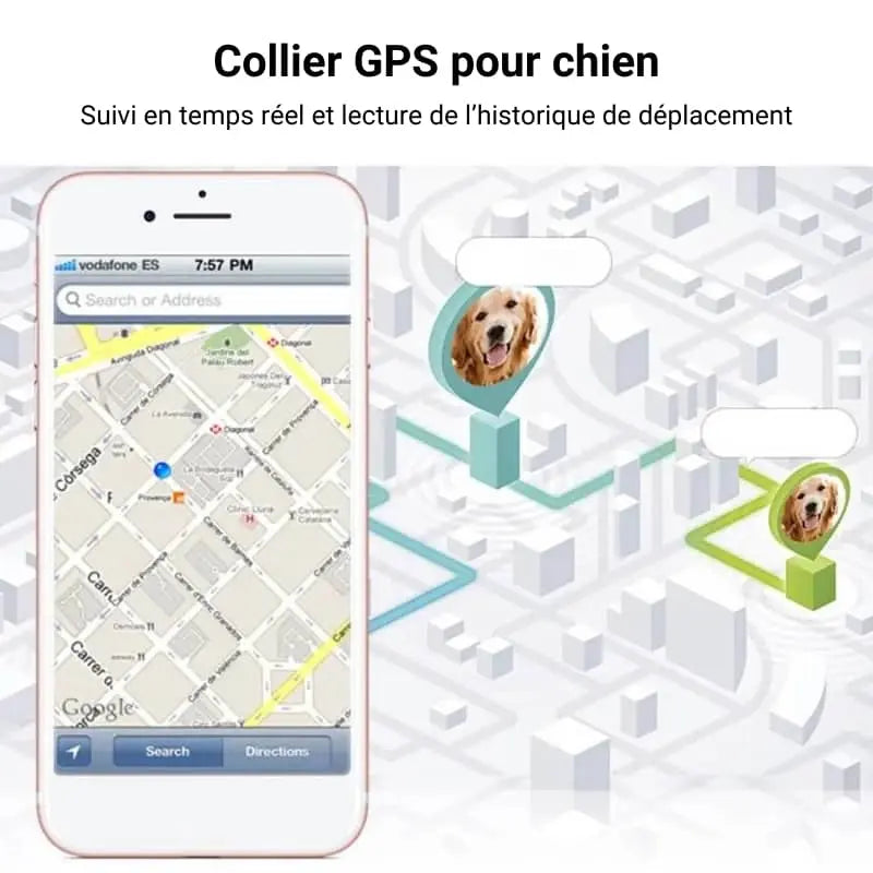 Collier GPS pour Chien Intelligent Résistant à l'Eau et à la Poussière