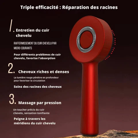 Peigne de Massage Électrique pour des soins capillaires professionnels