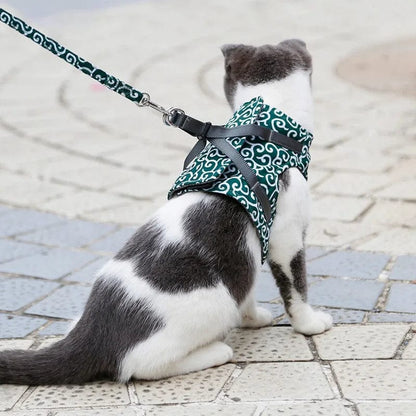 Harnais Ajustable Premium pour Chat (+Laisse Offerte)