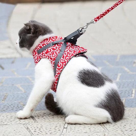 Harnais Ajustable Premium pour Chat (+Laisse Offerte)