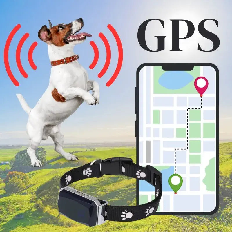 Collier GPS pour Chien Intelligent Résistant à l'Eau et à la Poussière