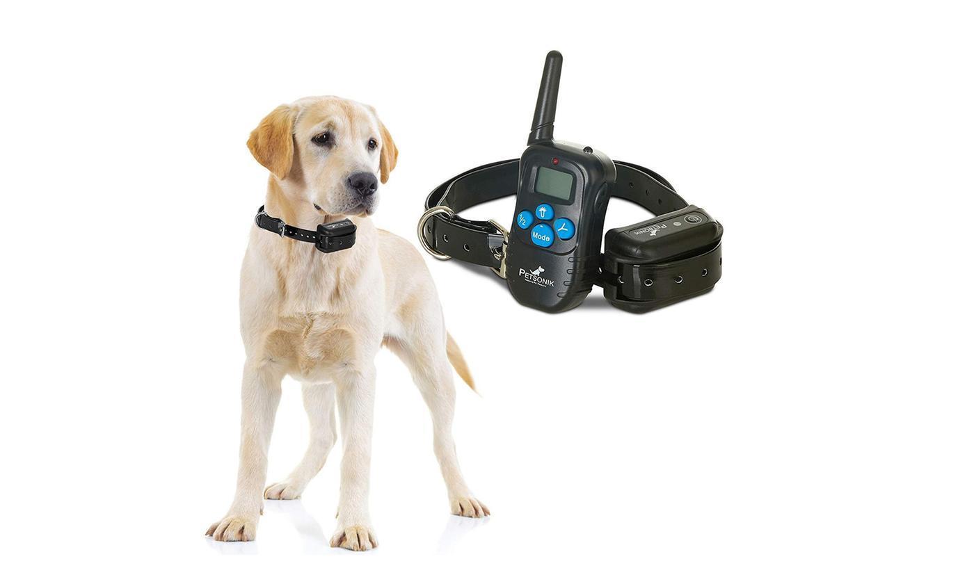 Collier Électrique Pour Chien Avec Émetteur À Distance