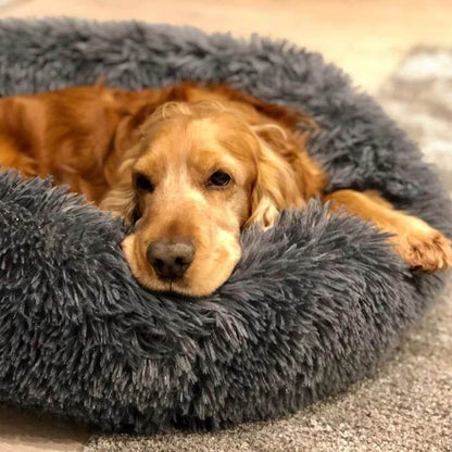 Coussin Apaisant pour Chien - Panier Lit Déhoussable