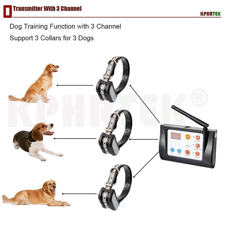 Système De Clôture Sans Fil Pour Chien